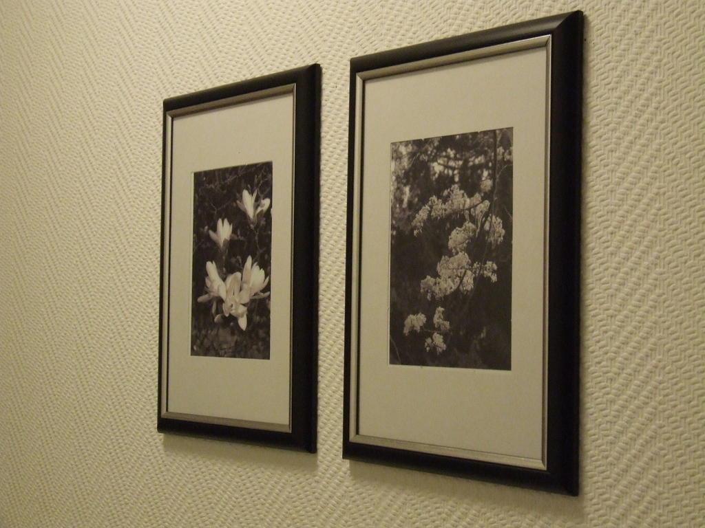 דיסלדורף Residenz Hotel Eurostar מראה חיצוני תמונה